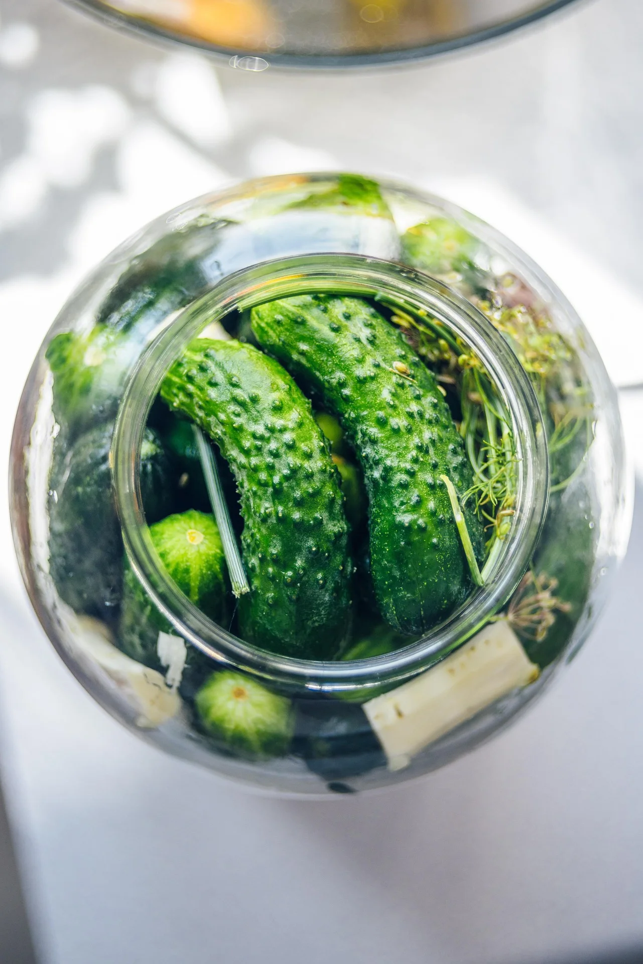Premium whole gherkins in brine — AthiTerra export quality